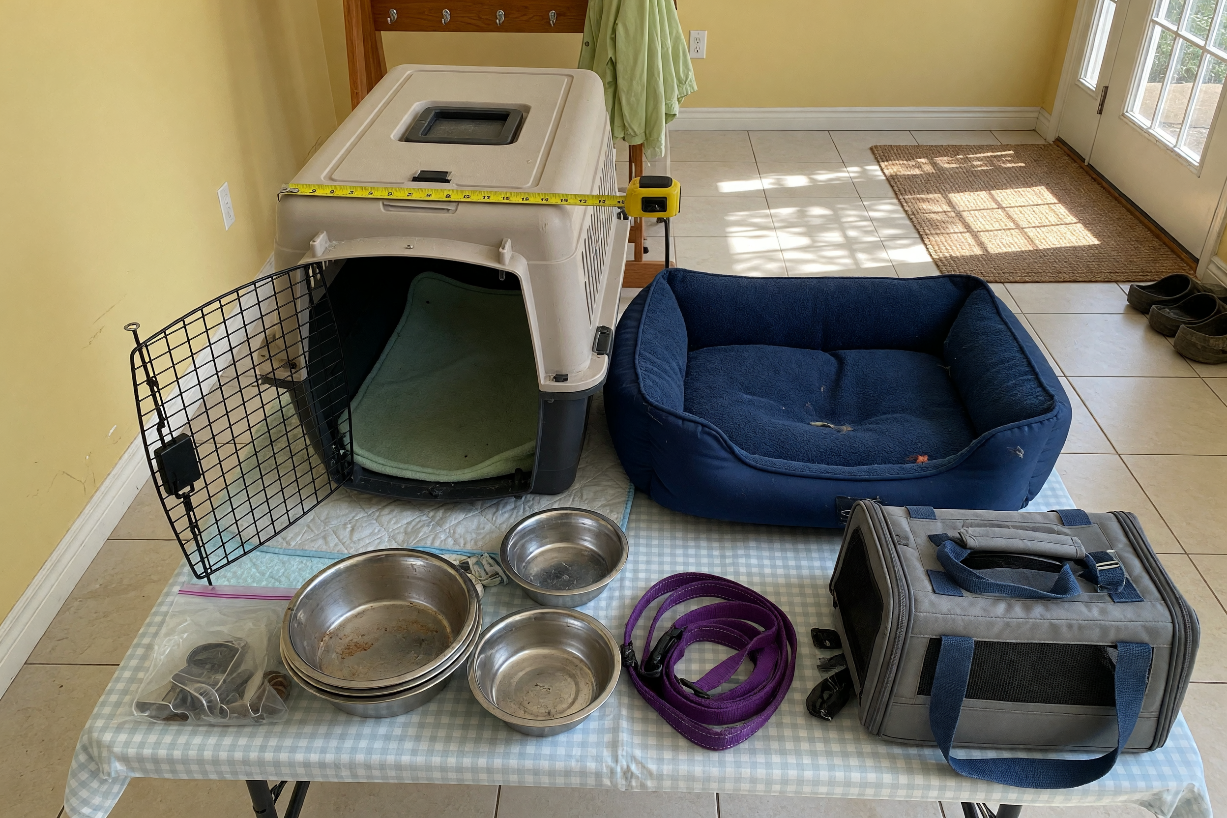 Vender accesorios para mascotas usados: talla y limpieza