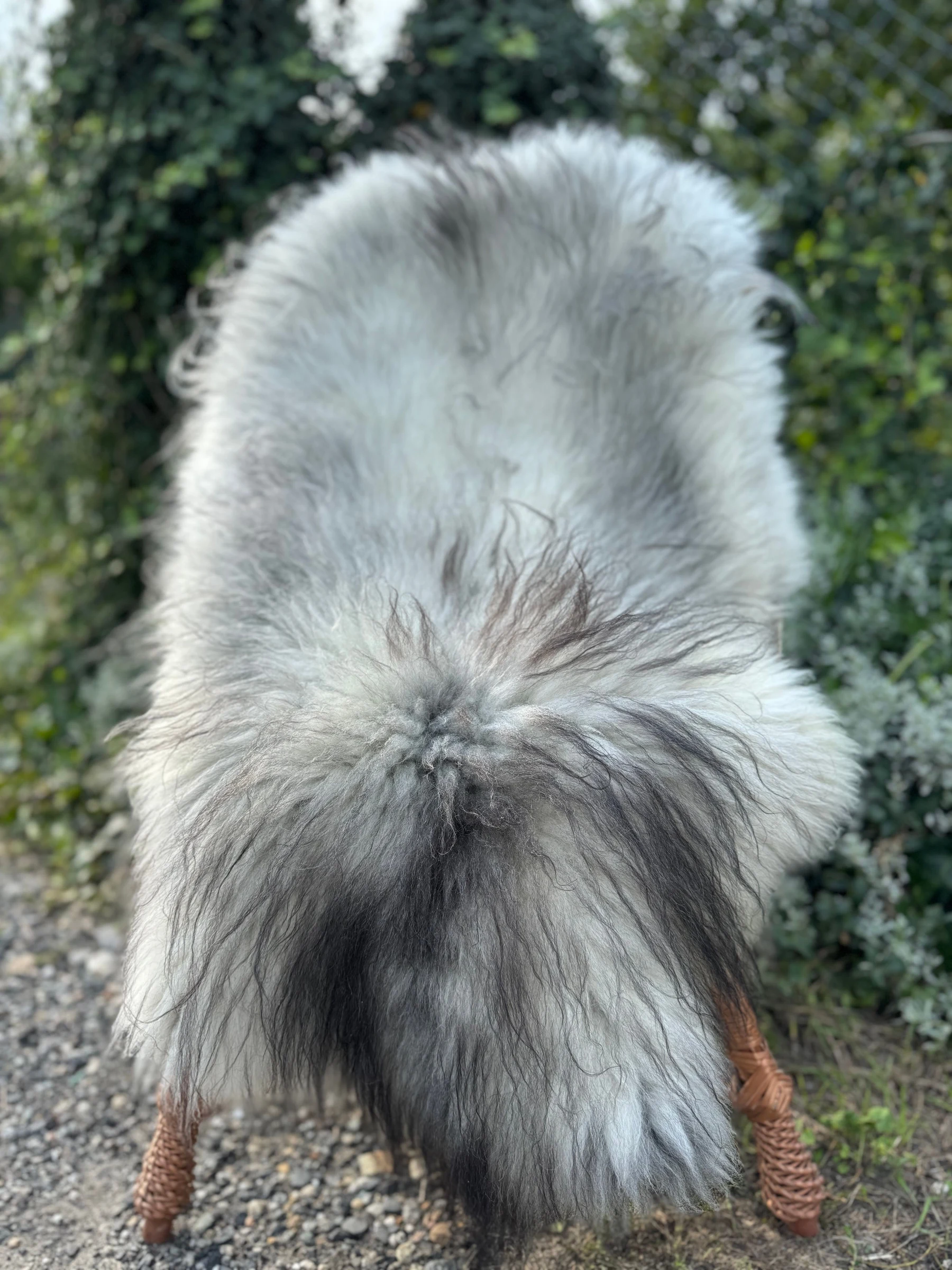 Decor & Home for Sale in Huntsville: Soft Melerade Sheepskins, Premium — Brixaz